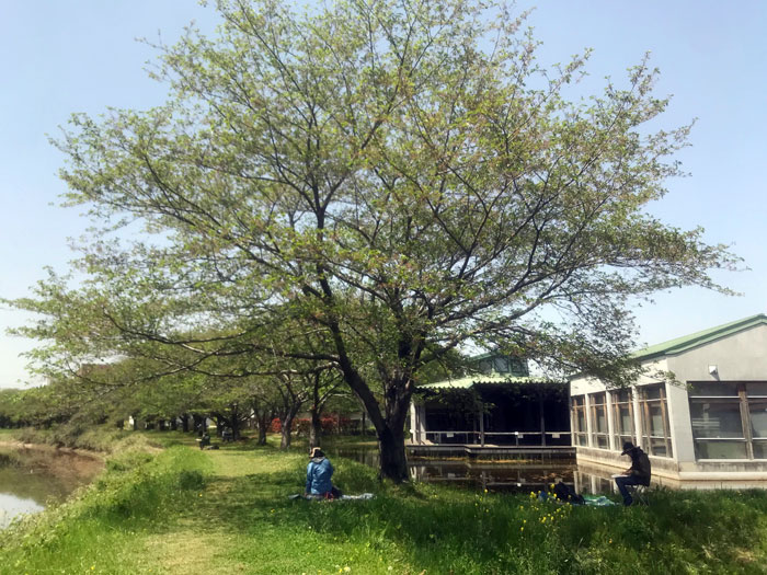 �ӥ���å��β񳨲趵���μ�����������