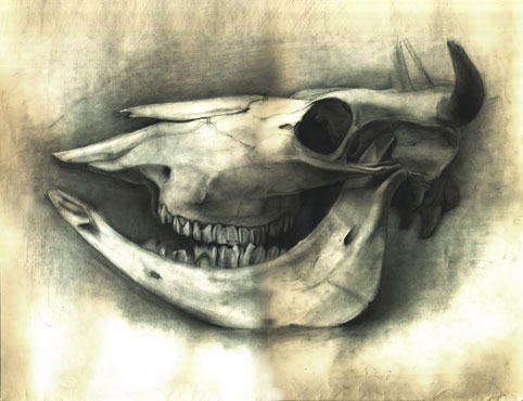 ���ι�����ɮ�ǥå���