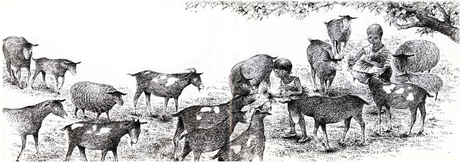 �ӥ���å����趵����ͽ��