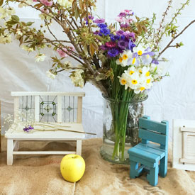 ������ʪ�Υ������