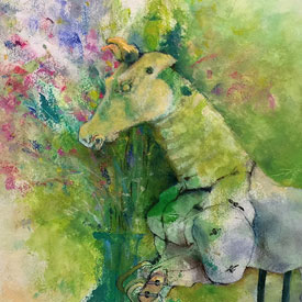 ���̺��ʡ���̲�